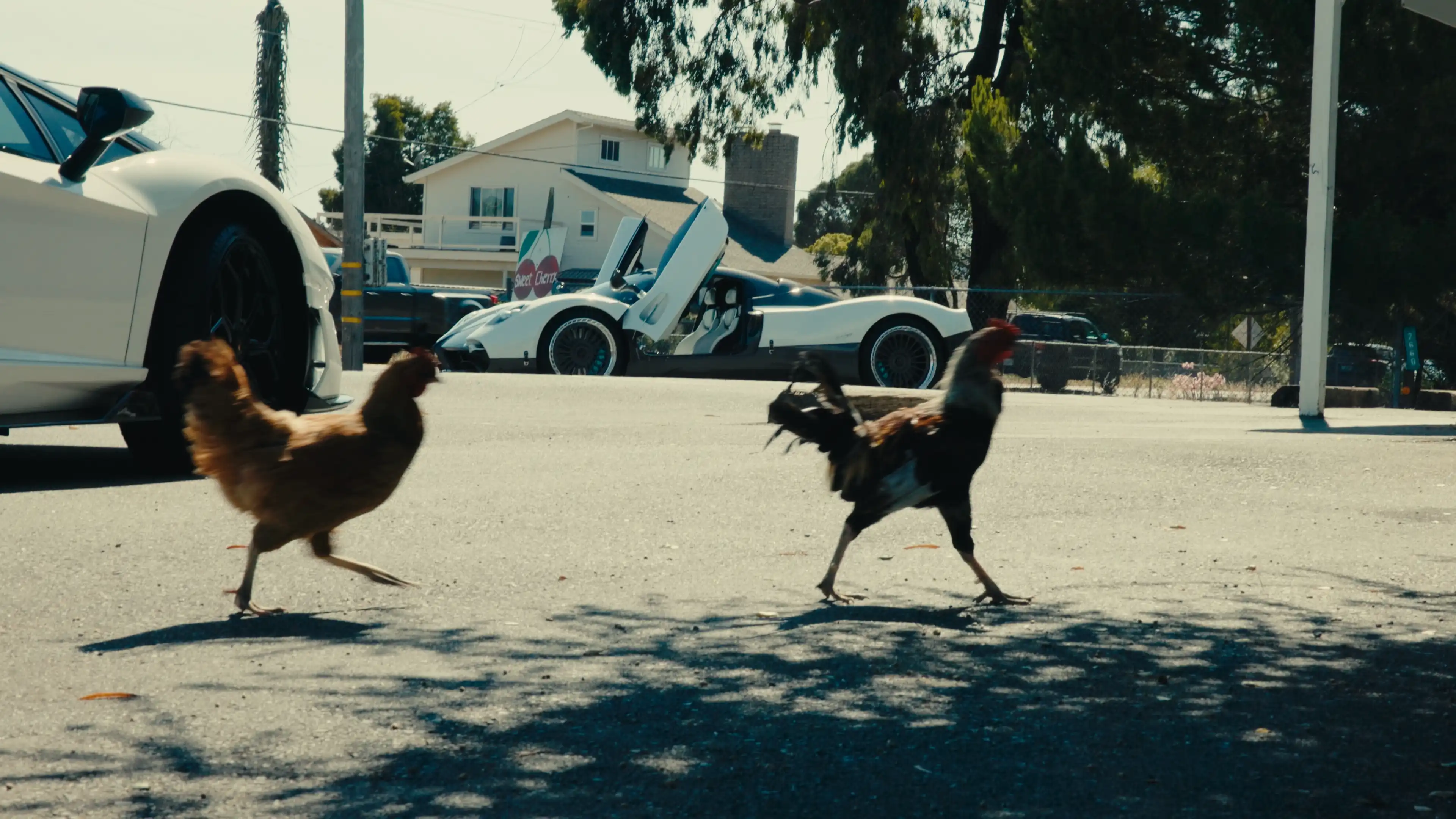Vitesse Studio Reel