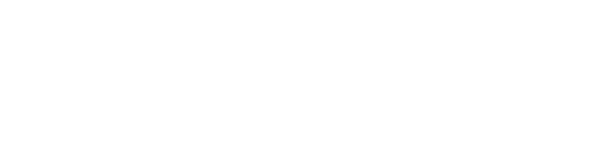 Vitesse Logo